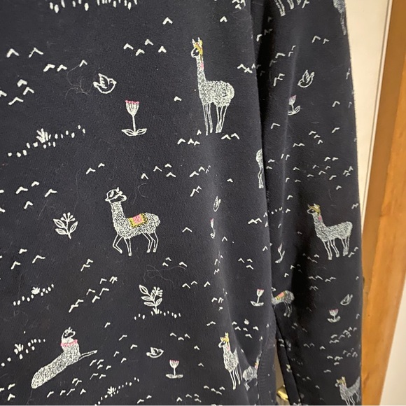 Ragwear Womens Llama Sweatshirt - Picture 2 of 9